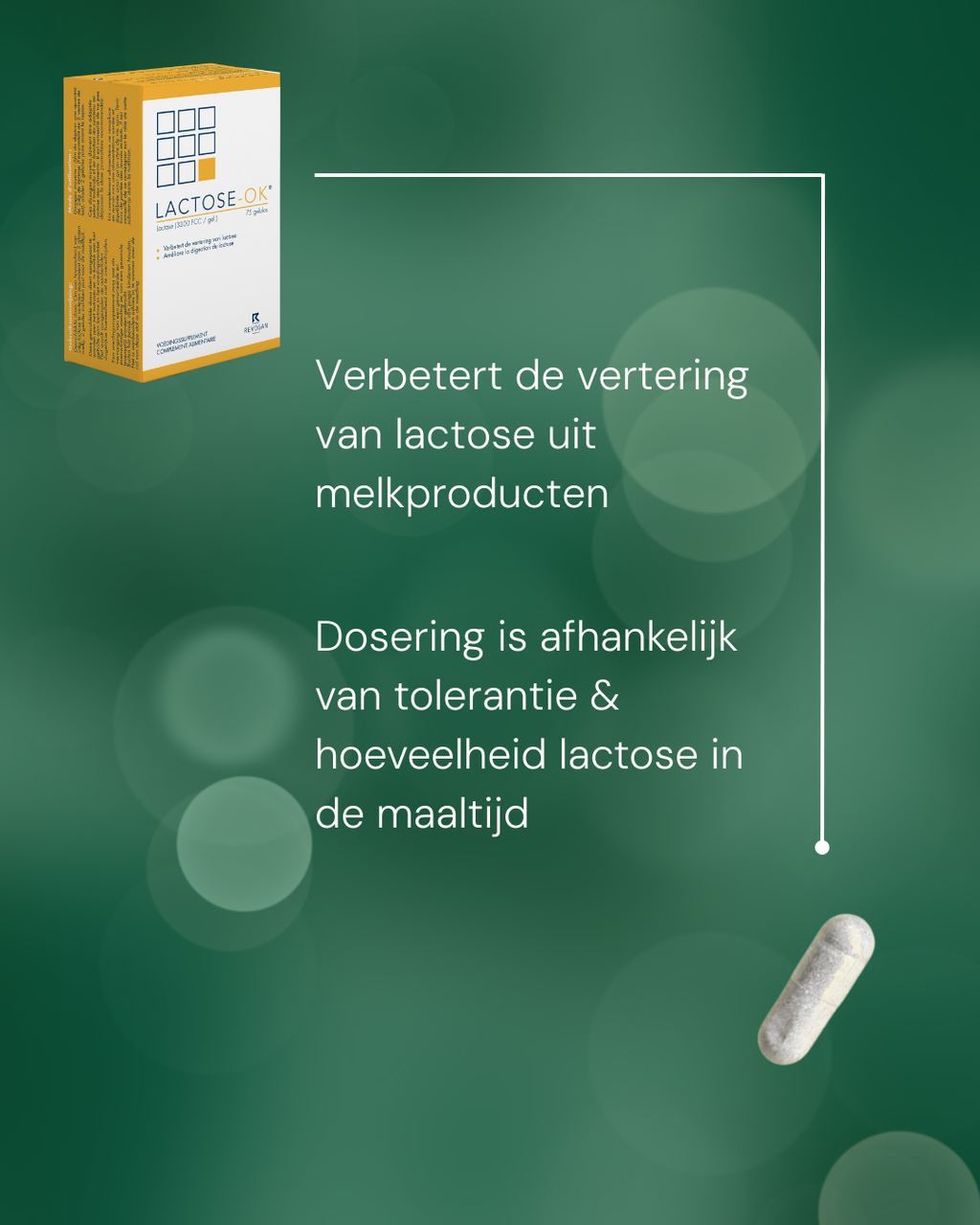 Lactose-OK | capsules