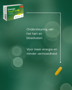 EnergQ Coenzyme Q10 120mg + Vit B1 and B6