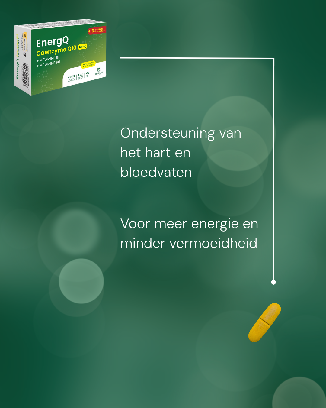EnergQ Coenzyme Q10 120mg + Vit B1 and B6