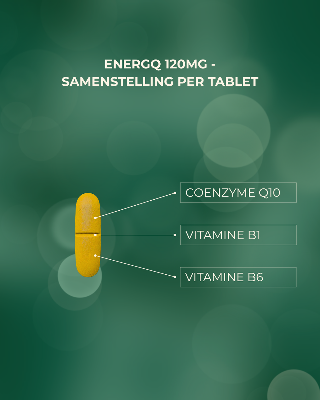 EnergQ Coenzyme Q10 120mg + Vit B1 and B6