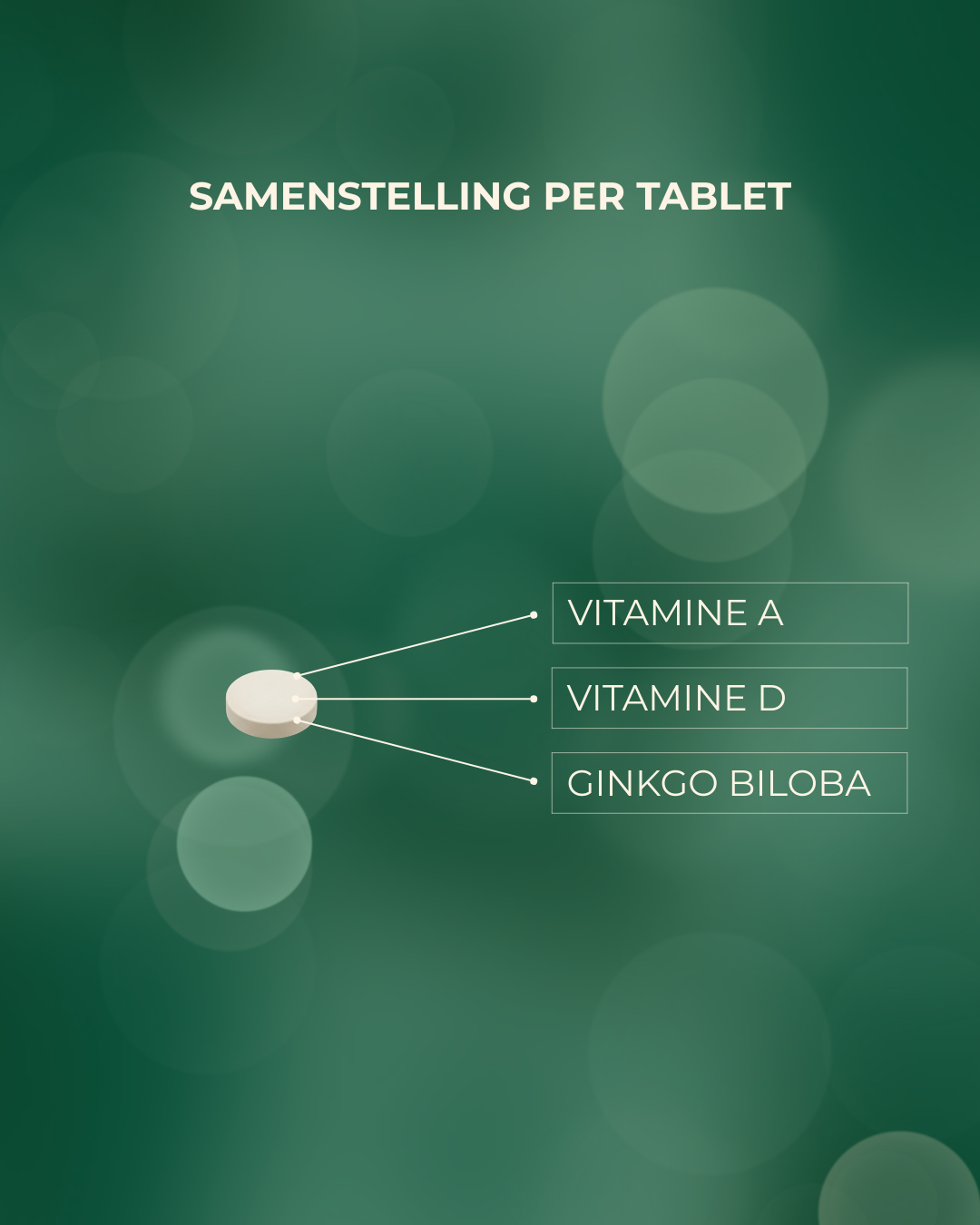 Vitamines A&D + Ginkgo