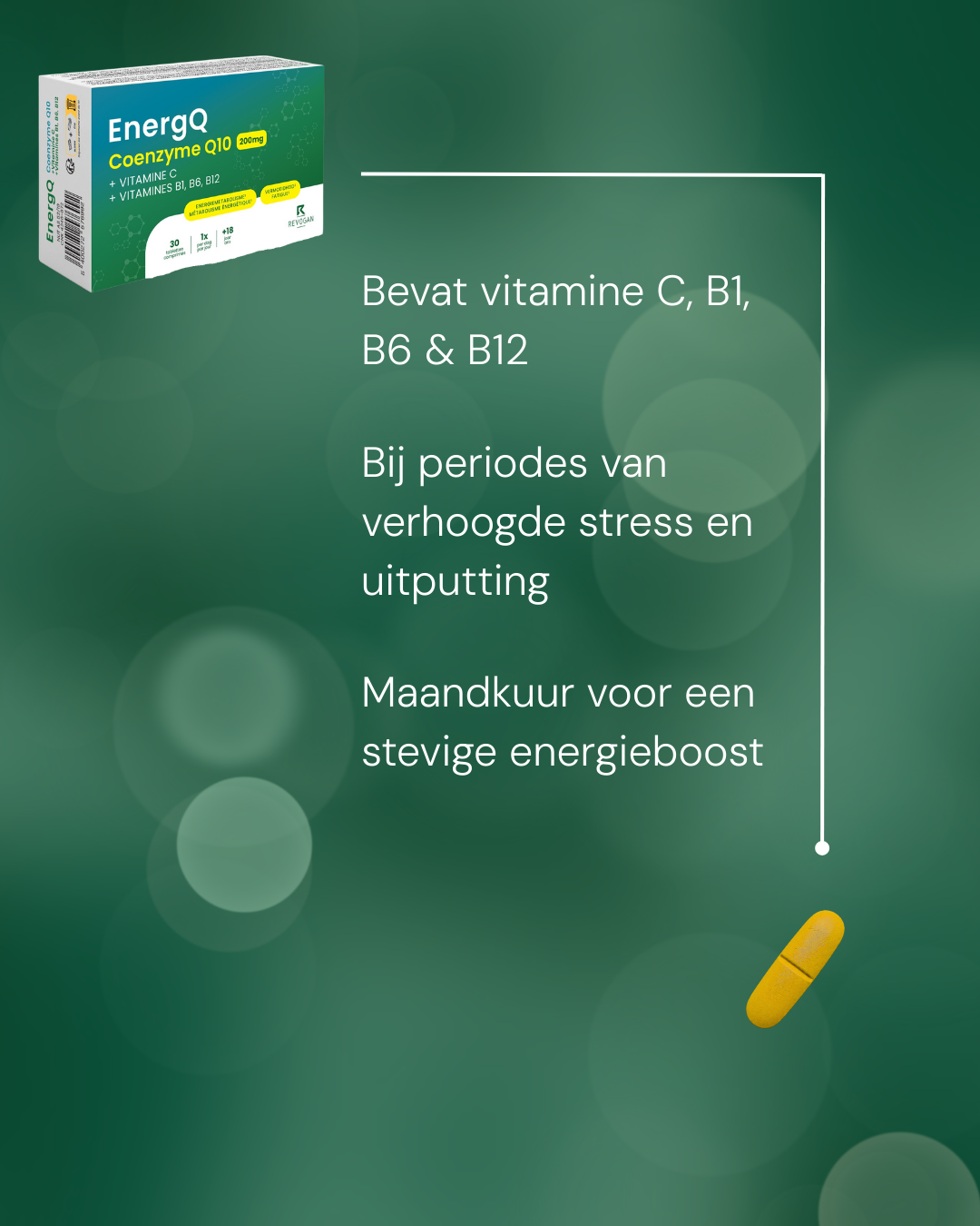 EnergQ Coenzyme Q10 200mg + Vit C, B1, B6 en B12