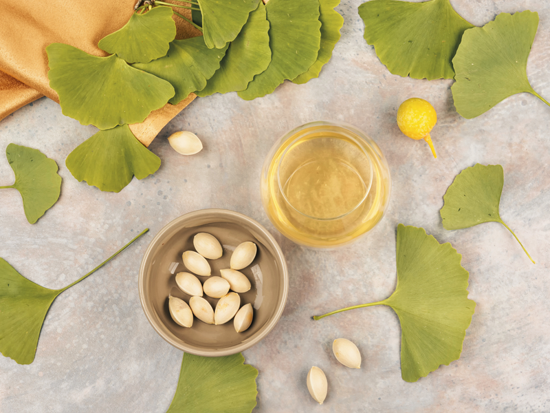 De genezende kracht van Ginkgo Biloba