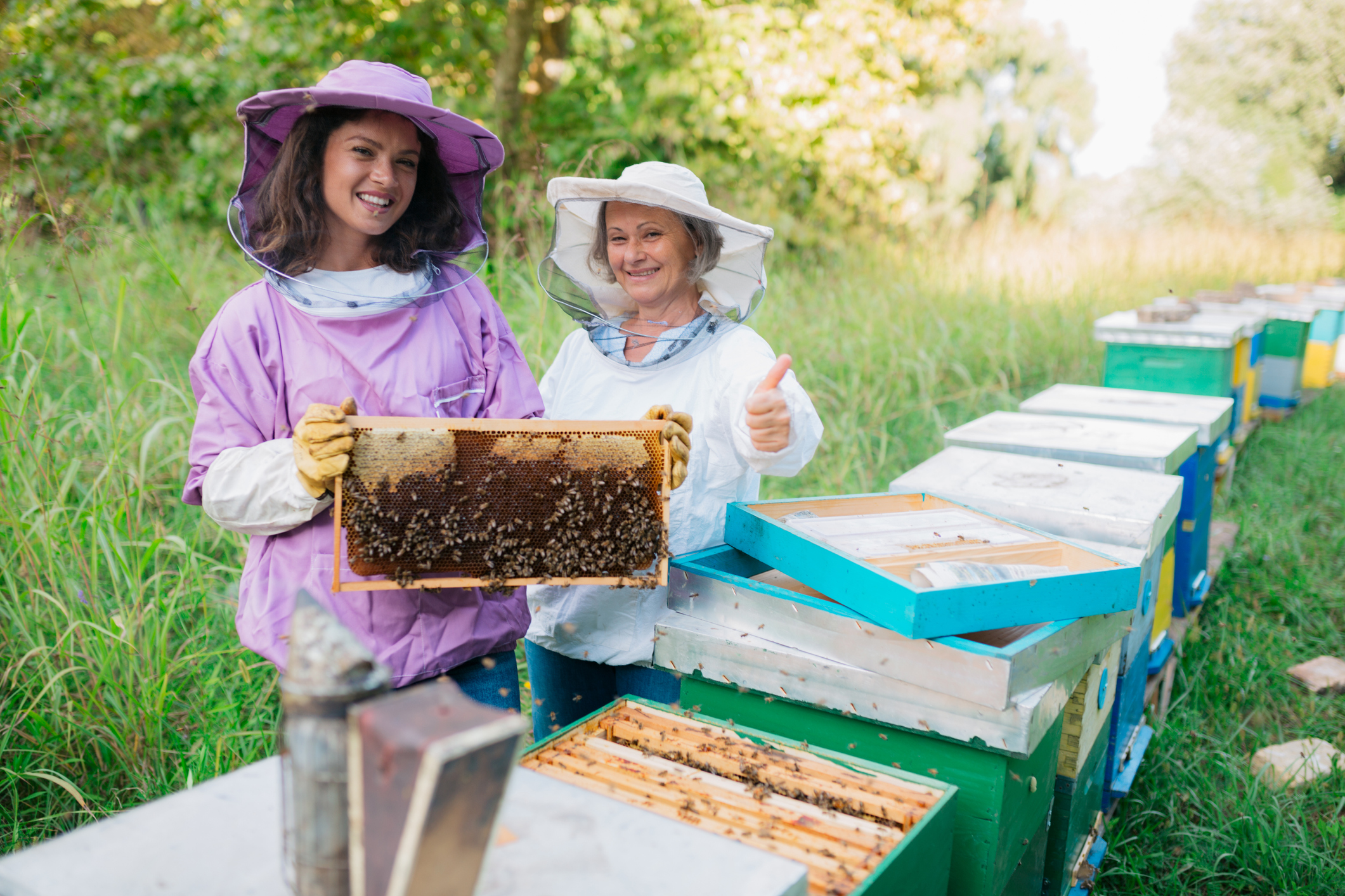 Chez les abeilles, la propolis est utilisée comme revêtement pour construire et fortifier les ruches et empêcher les intrus de s’y introduire. Elle possède également des propriétés antimicrobiennes et protège les abeilles contre les agents pathogènes.1