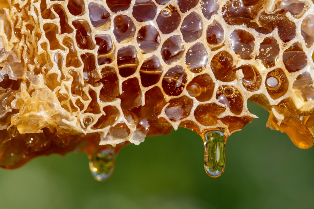 Le miel est un aliment santé phare. Pourtant, tous les miels ne se valent pas. Aujourd’hui, le miel est généralement récolté en utilisant un extracteur (centrifugeuse) et chauffé ensuite. Ce procédé est rapide, mais il détériore considérablement la qualité du miel et il lui fait perdre de sa saveur.